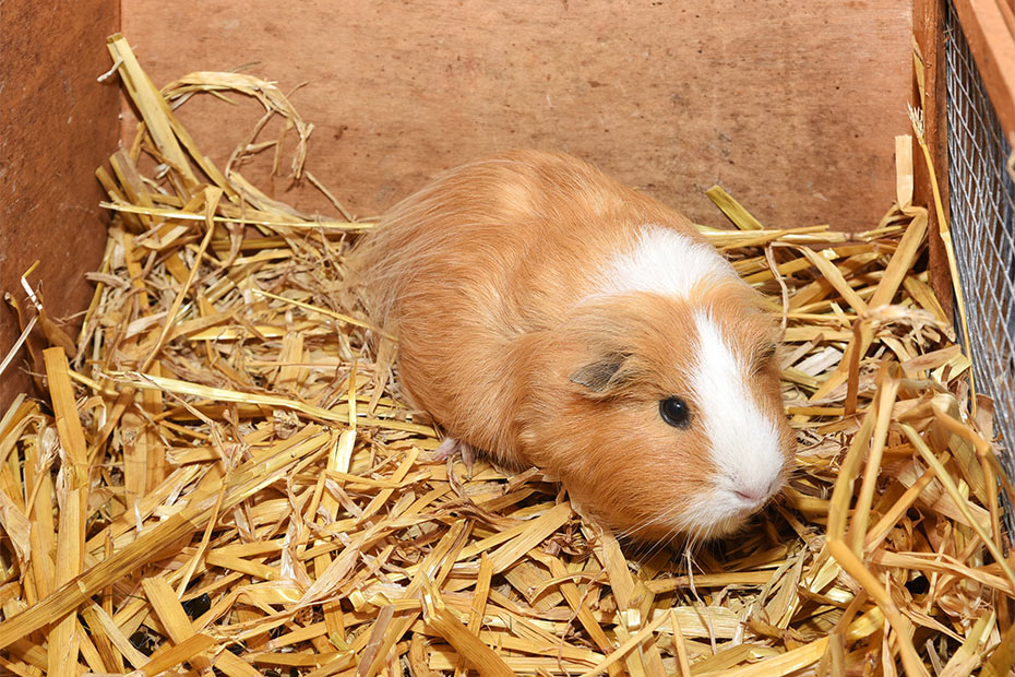 Foto aus der Fotogruppe 