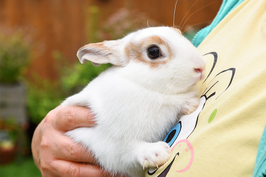 Foto aus der Fotogruppe 